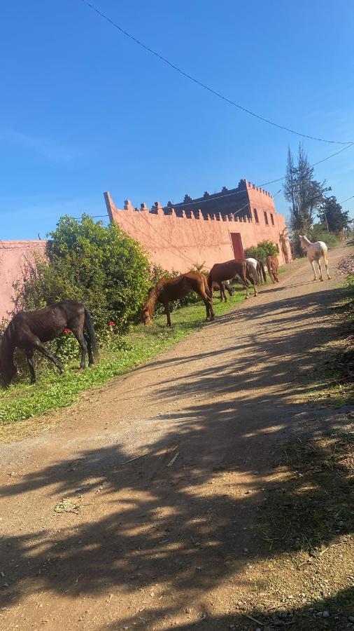 Gite Touristique Yassmine Madagh Zewnętrze zdjęcie